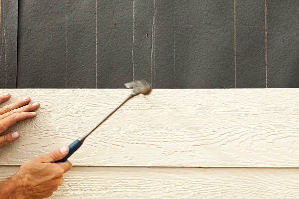 Best Stone Veneer Siding  in Edison, GA